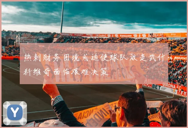 热刺财务困境或迫使球队放走武什科维奇面临艰难决策