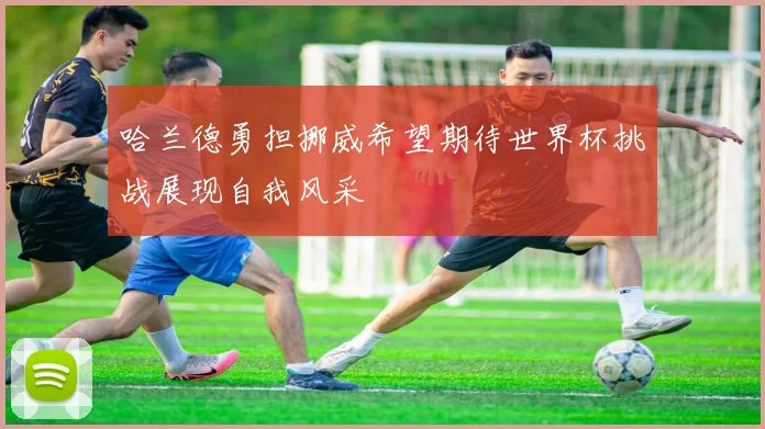 哈兰德勇担挪威希望期待世界杯挑战展现自我风采